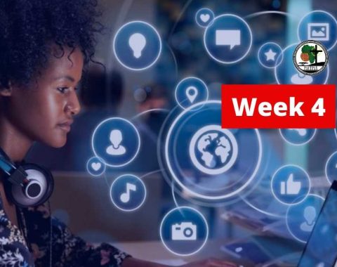 Week 4 – Digital Media Landscape and Ethical Influencing in Africa